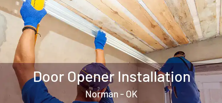  Door Opener Installation Norman - OK