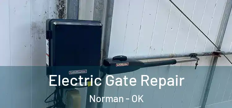  Electric Gate Repair Norman - OK