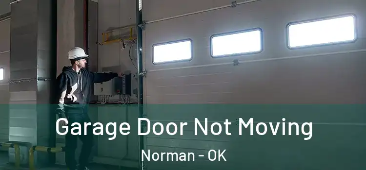  Garage Door Not Moving Norman - OK