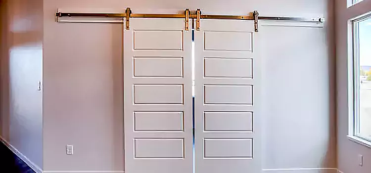 Glass Barn Door with Installation Hardware Kit Norman