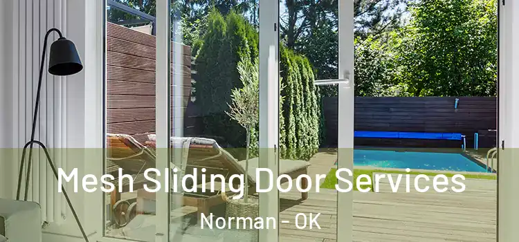 Mesh Sliding Door Services Norman - OK