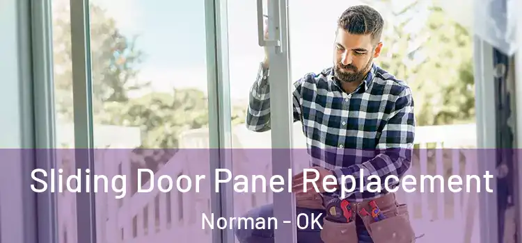  Sliding Door Panel Replacement Norman - OK