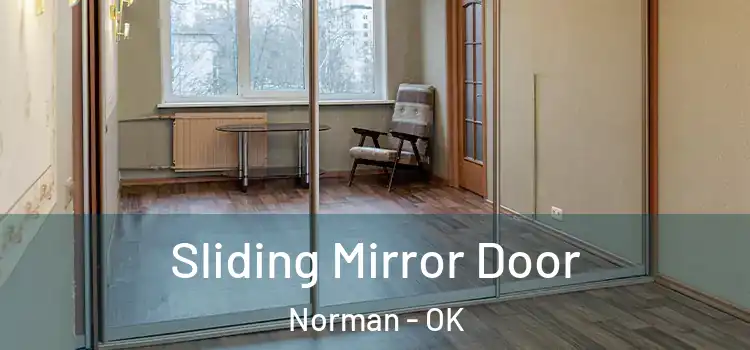  Sliding Mirror Door Norman - OK